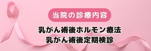 あや乳腺外科クリニック 診療案内 術後ホルモン療法 術後定期検診